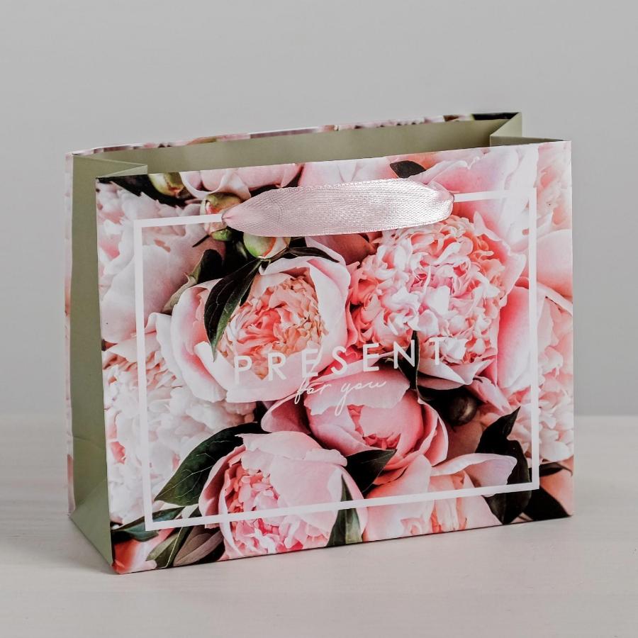 Пакет ламинированный горизонтальный Present, M 27 × 23 × 8 см