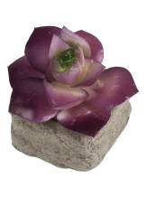 Декоративное искусственное растение "Розовый Суккулент", в кашпо из бетона, 8х5,5х5,5см