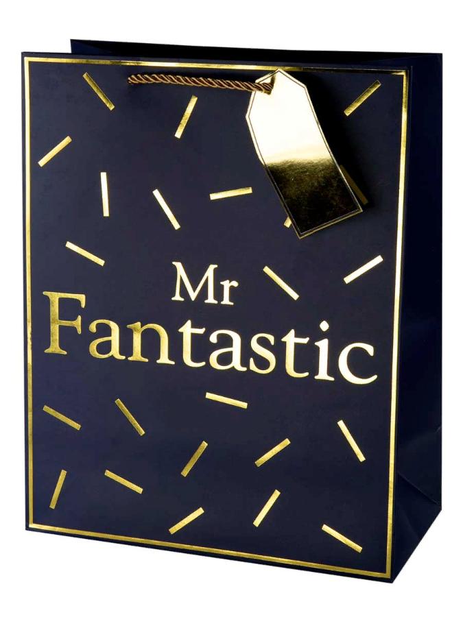 Пакет подарочный 26х32.4х12.7 см, "Mr.Fantastic"