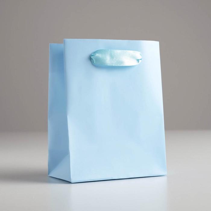Пакет подарочный 11,5 × 14.5 × 6 см «Голубой»