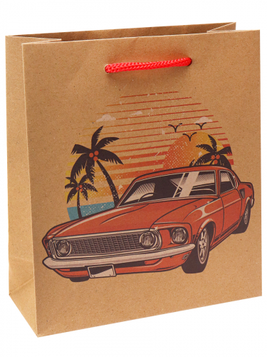 Пакет подарочный 16х18х7 см "Машина в тропиках" крафт-бумага