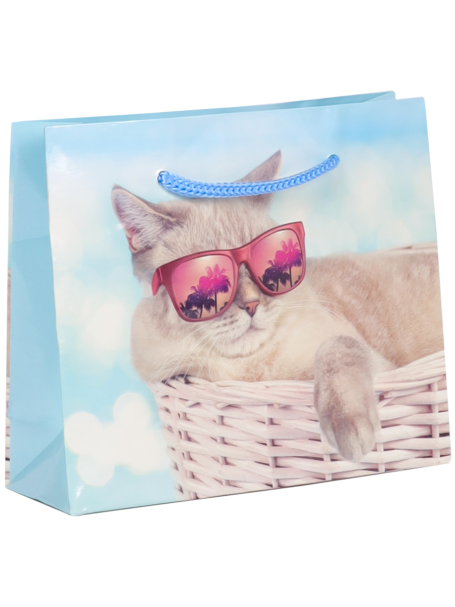 Пакет подарочный 15×12×5 см «Котик на отдыхе», ламин