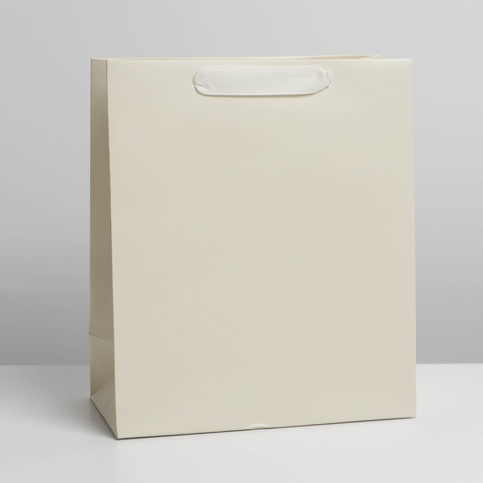 Пакет горизонтальный 23×27×11,5 см «Молочный»