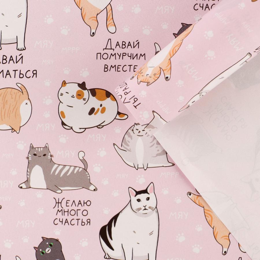 Бумага упаковочная глянцевая «Коты», 70 × 100 см 