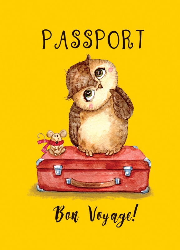Обложка для паспорта "Сова путешественница"