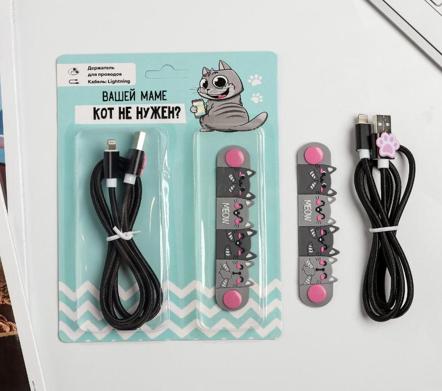 Набор «Кот», кабель USB iPhone и держатель для провода