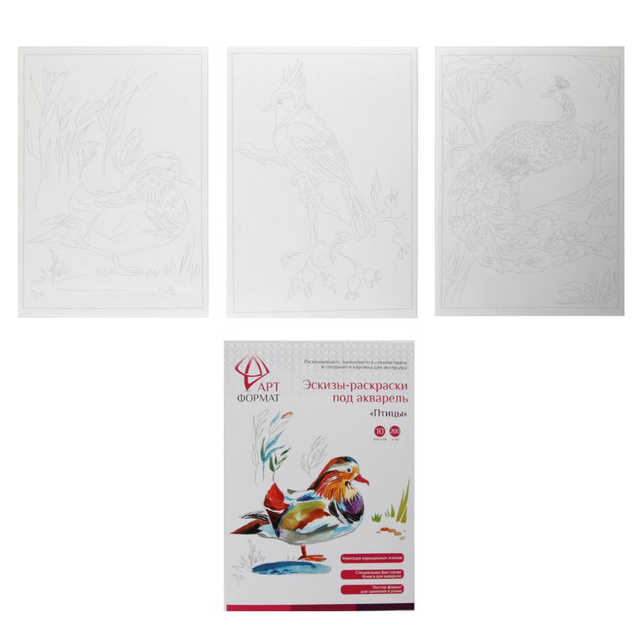 Раскраска-эскиз "Птицы" 10 листов А4 акварельная бумага, 200 гр, в папке