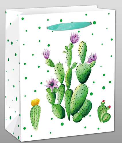 Пакет подарочный 18x23x10 см "Кактус с цветочками" с мат ламин 