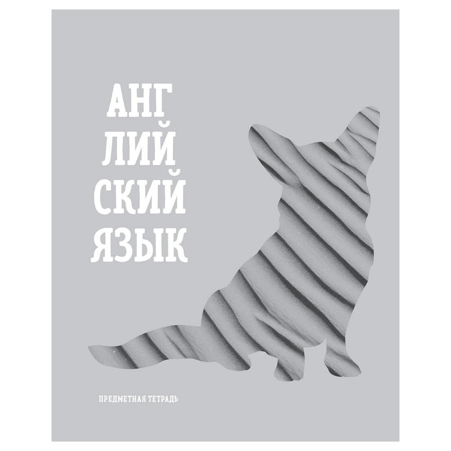 Тетрадь предметная 48 л "Подсказки" - Английский язык, матовая ламинация
