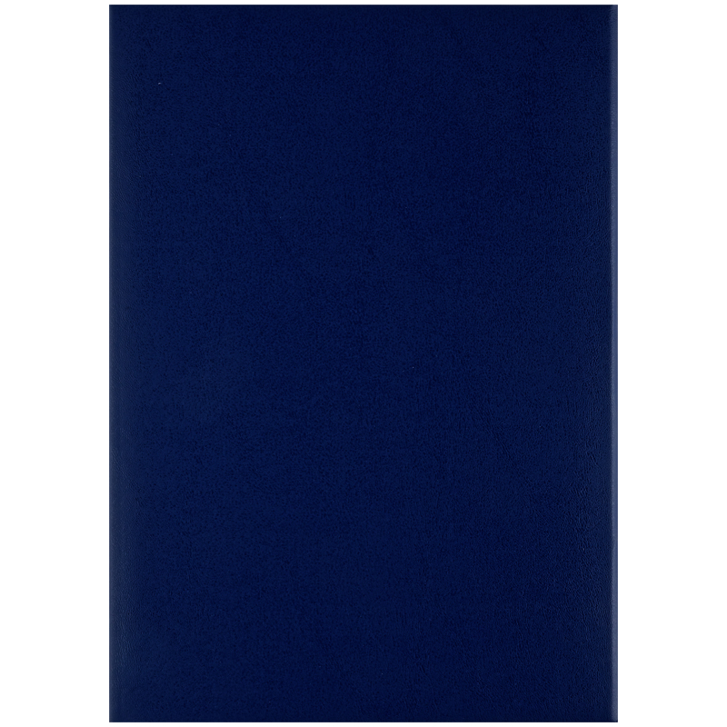 Папка адресная (Без надписи) бумвинил, синяя