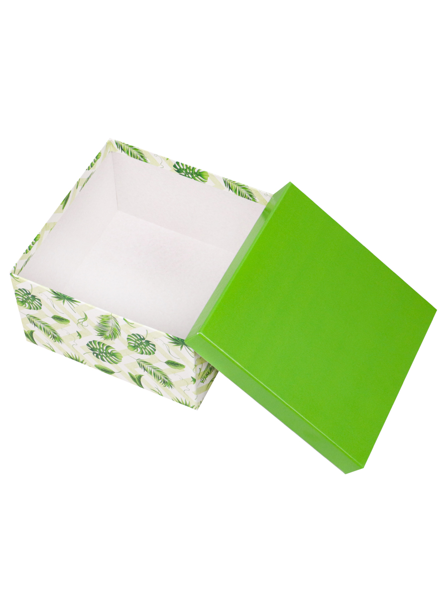Подарочная коробка "Джунгли" зеленая крышка 16х16х8 см (11)