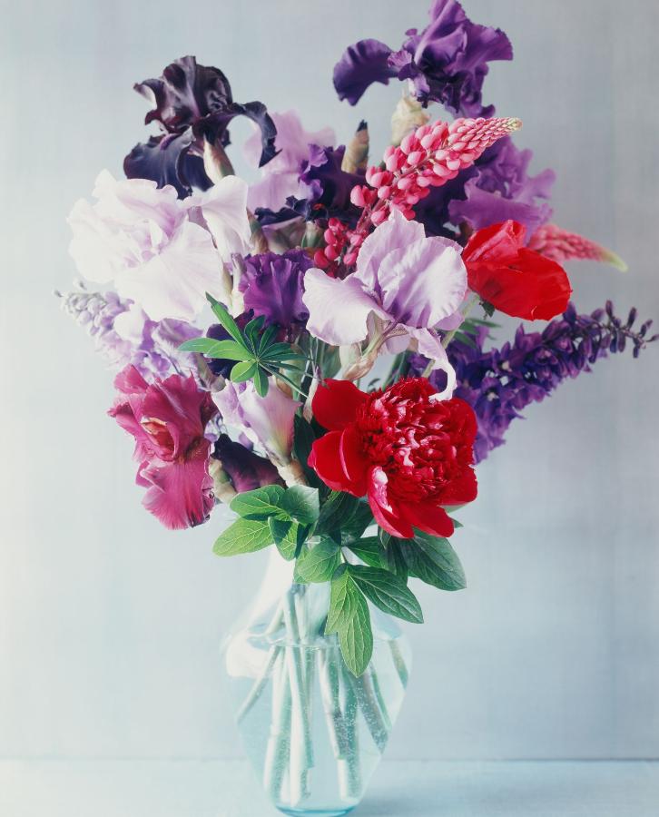 Картина по номерам "Красочные цветы" 30х40 см