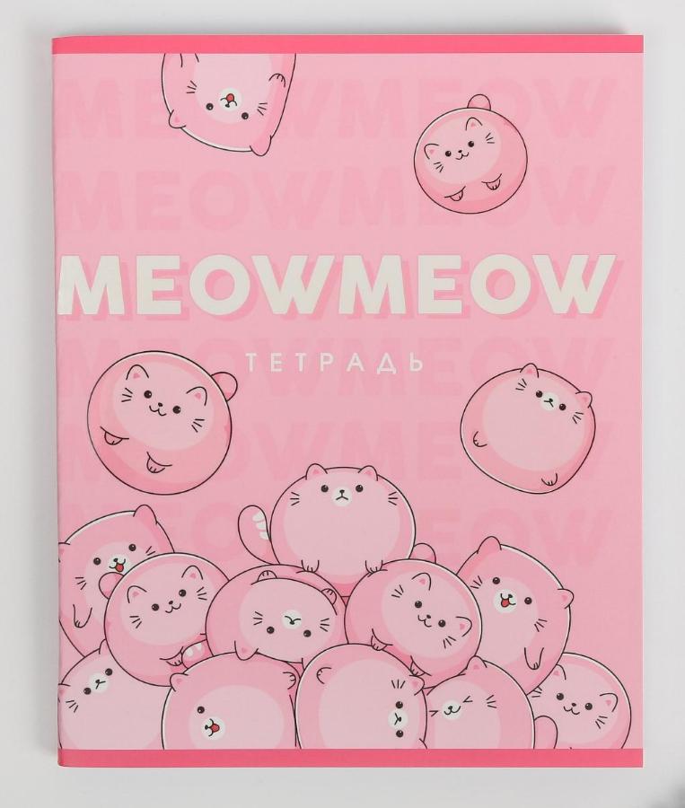 Тетрадь 96 л Meow meow