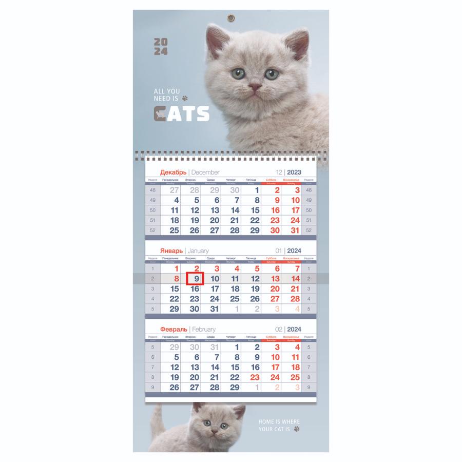 Календарь квартальный 1 бл. на 1 гр. Mini premium "Пушистый котенок", с бегунком, 2024г.