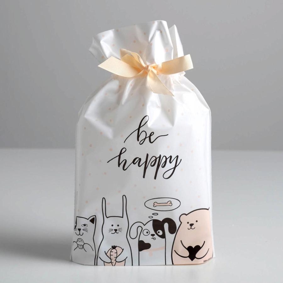 Пакет подарочный 20×30 см "Be happy", пластиковый с лентой