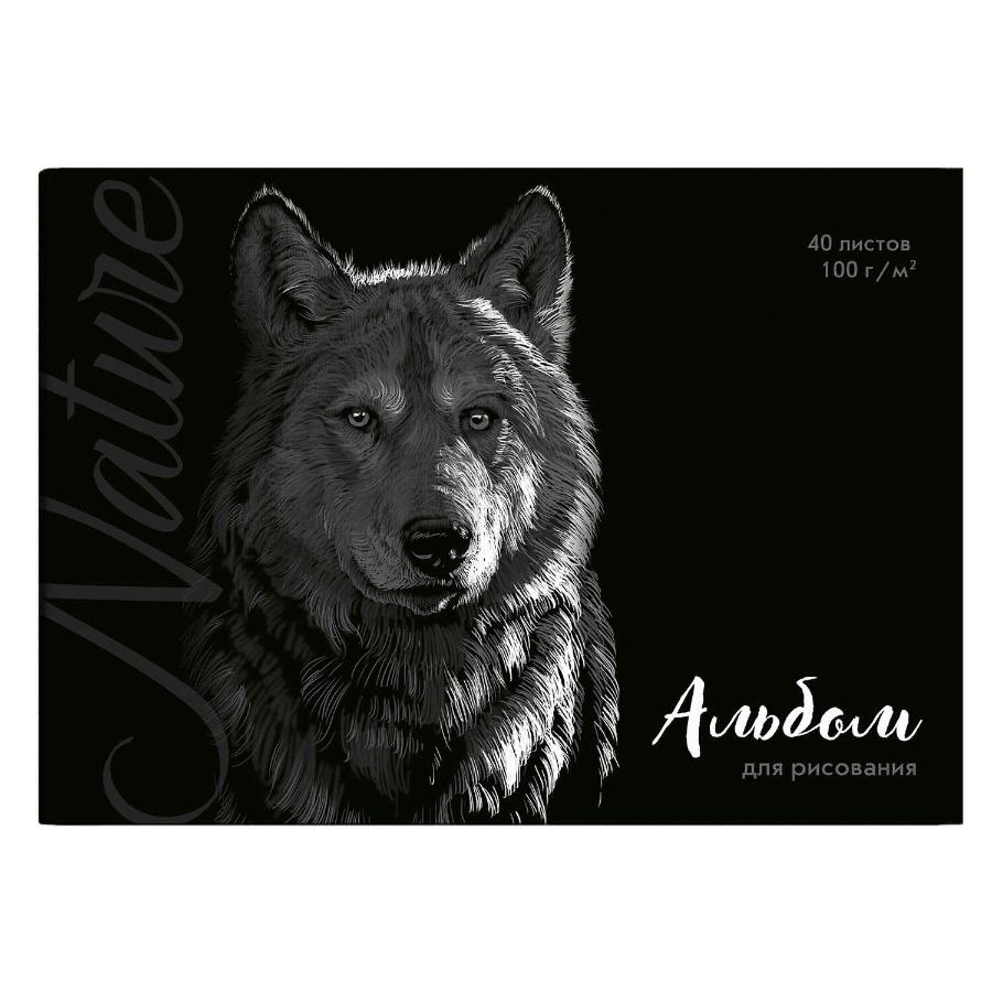 Альбом для рисования 40 л Волк