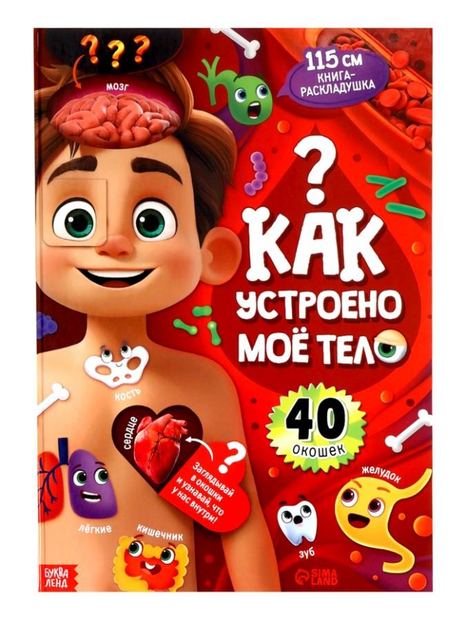 Книга с окошками "Как устроено моё тело" 