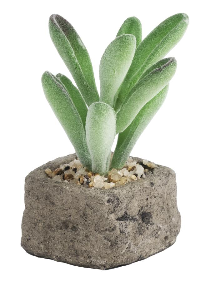 Декоративное искусственное растение Свежесть из полиэтилена в кашпо из бетона, 12*5,5*5,5 см