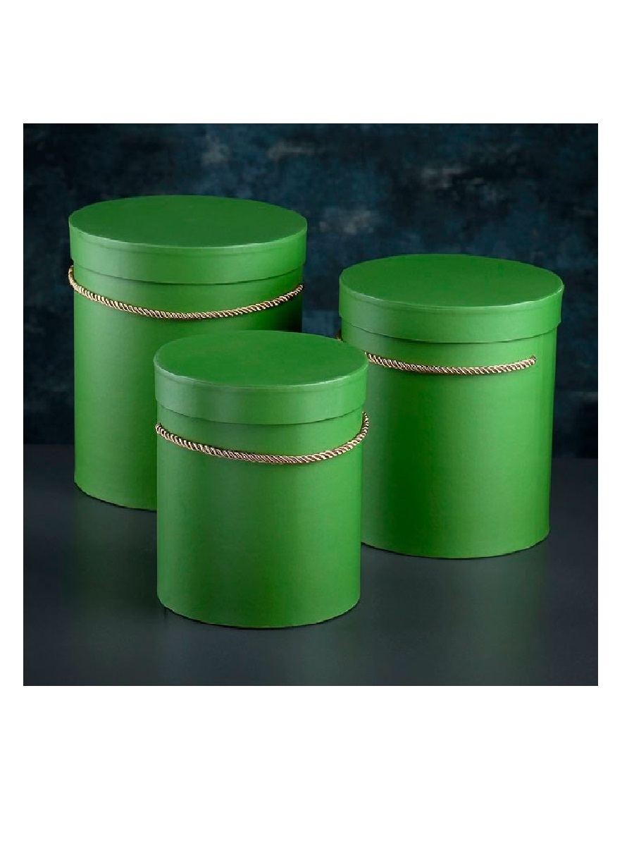 Подарочная коробка зеленая с бронзовой веревочкой 16х16х18 см, круглая  (3)