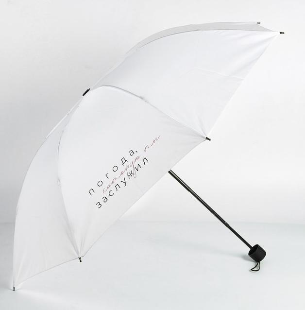 Зонт механический "Погода, которую ты заслужил", d=95 см