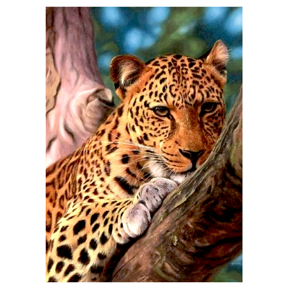 Раскраска по номерам "Леопард" 30х40 см 