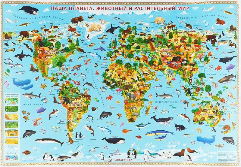 Карта детская настенная "Наша планета. Животный и растительный мир" 101х69 см