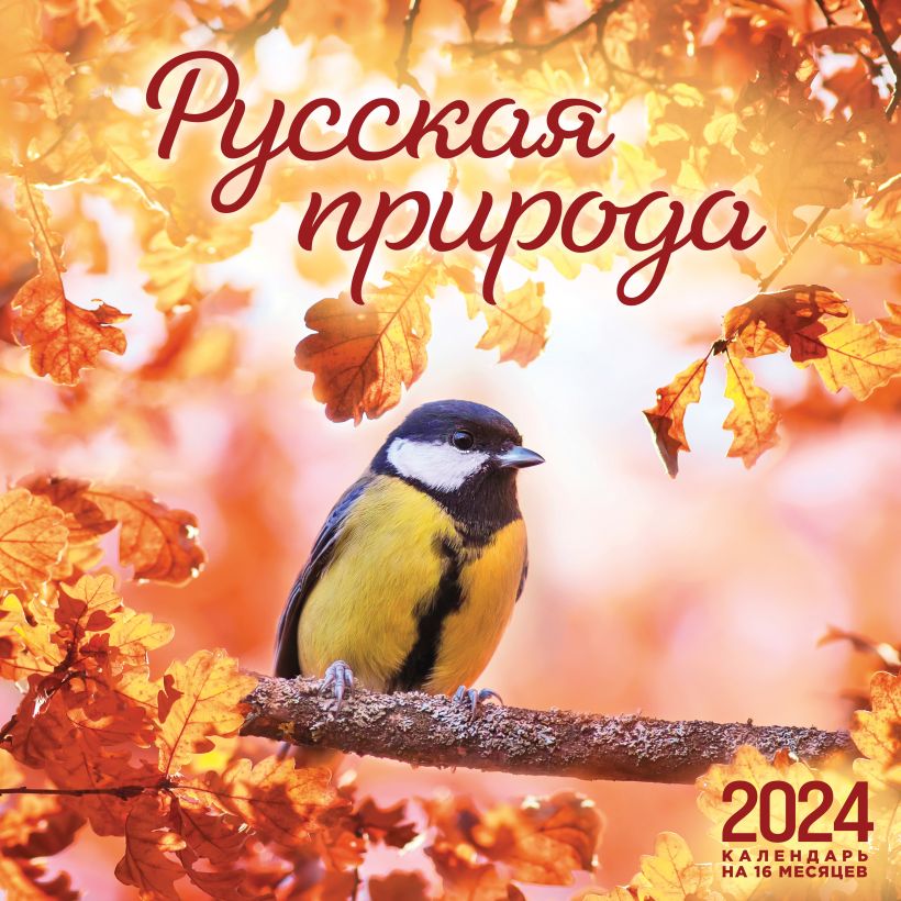 Календарь настенный "Русская природа" 16 месяцев на 2024 год (300х300 мм)