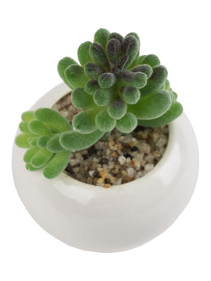 Декоративное искусственное растение Гармония из полиэтилена в кашпо из керамики, 12*4,5*4,5см