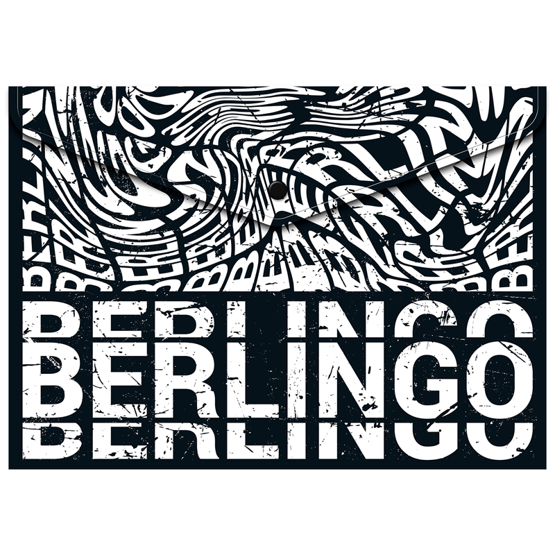 Папка-конверт на кнопке А4 Berlingo "Monochrome", 180мкм, с рисунком