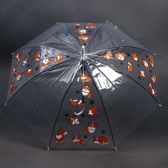 Зонт-трость "Корги", d-90см, прозрачный