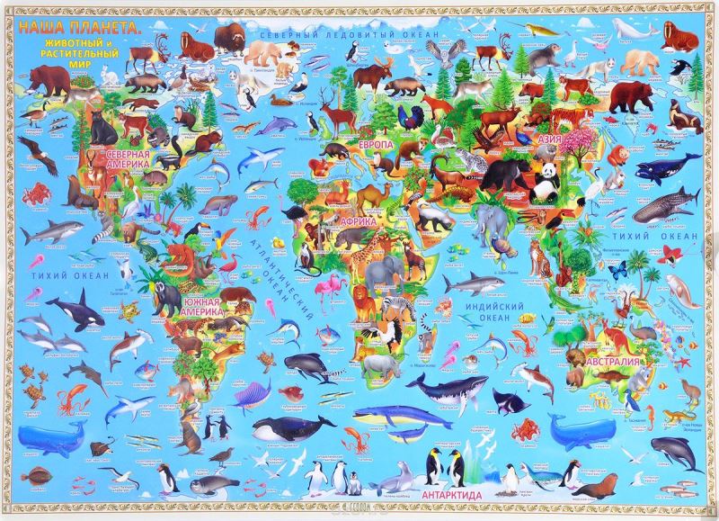 Карта настольная детская "Наша планета. Животный и растительный мир", 58х38 см, лам
