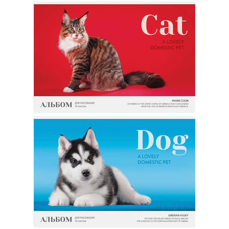 Альбом для рисования 16 л Питомцы. Cat/Dog, обложка-офсет