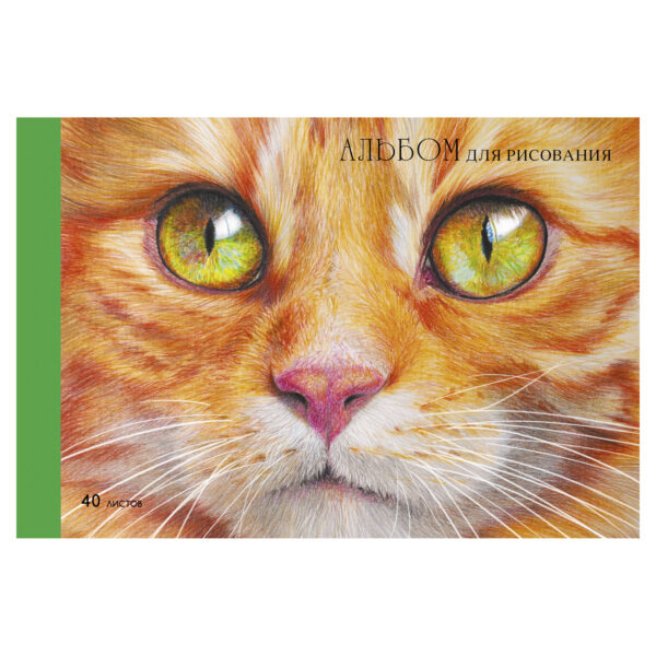 Альбом для рисования 40 л Рыжий котик, склейка