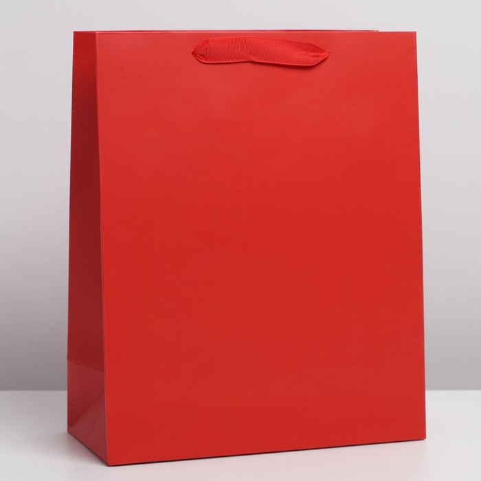 Пакет подарочный 26х32х12 см "Красный"
