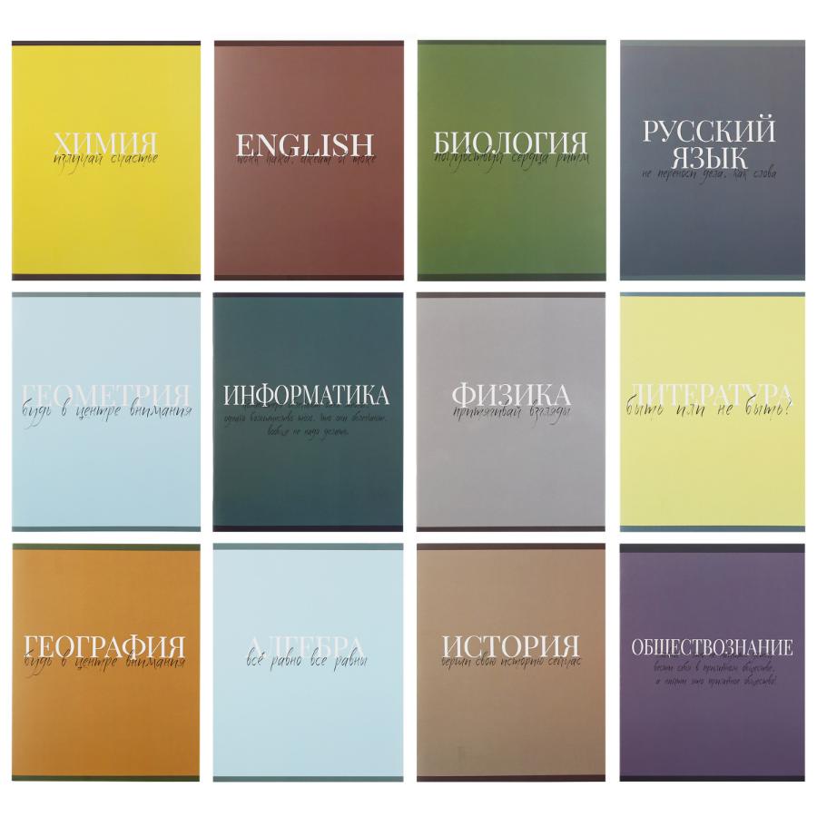 Комплект предметных тетрадей 48л. "Morandi words" (12 шт)