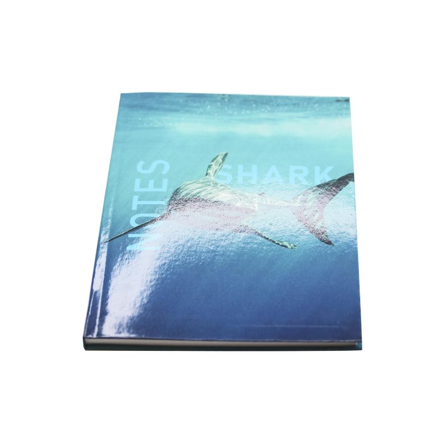 Книжка записная А5 80 л Shark