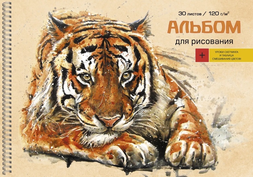 Альбом для рисования 30 л гребень Тигр