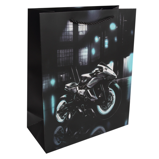 Пакет подарочный 26x32x12 см "Moto"