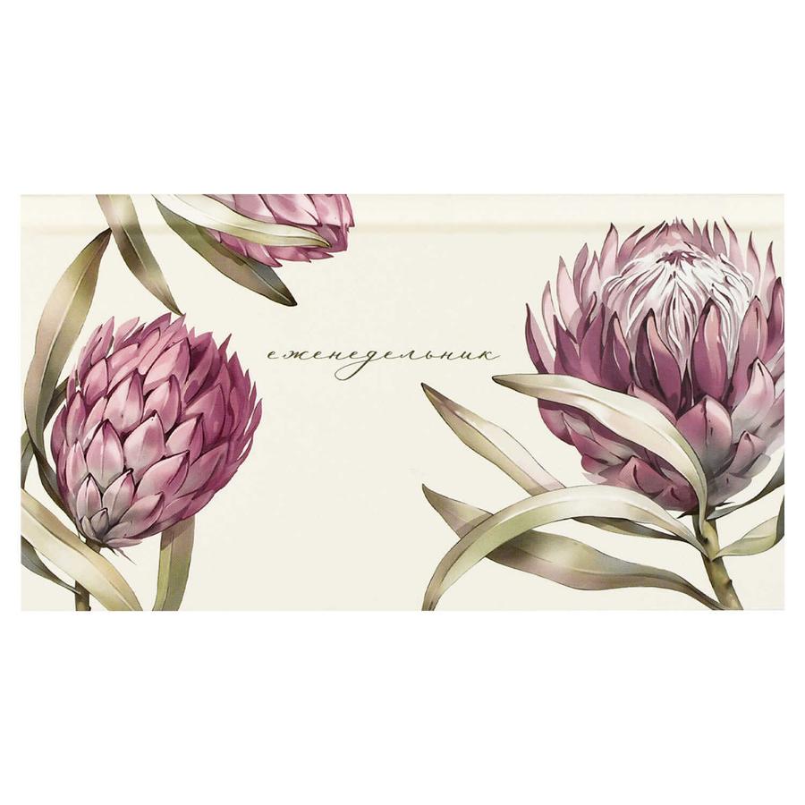 Еженедельник 171х93 мм 64 л, Протея, 7Бц, матовая ламинация