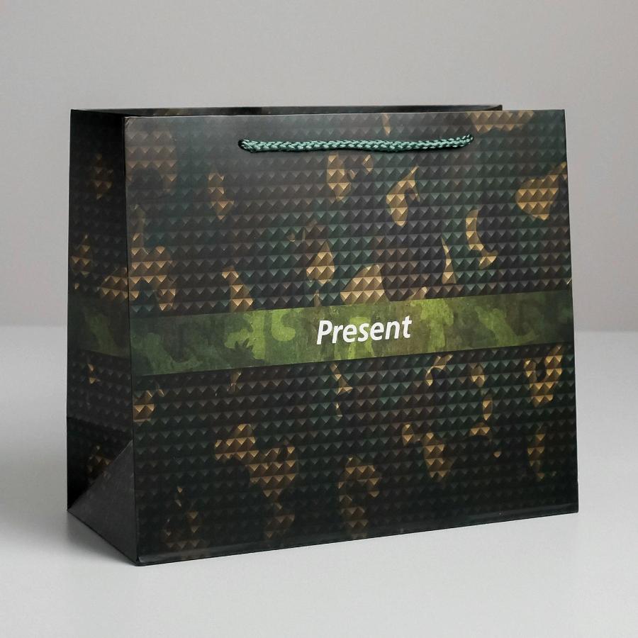 Пакет подарочный 27×23×11,5 см "Present"