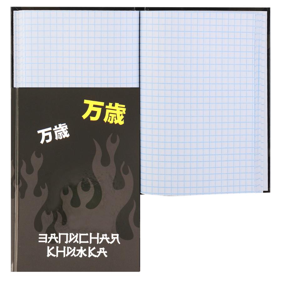 Книжка записная А5 80 л Токио.