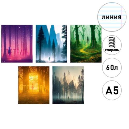 Тетрадь 60 л гребень,линия Прогулки в тумане