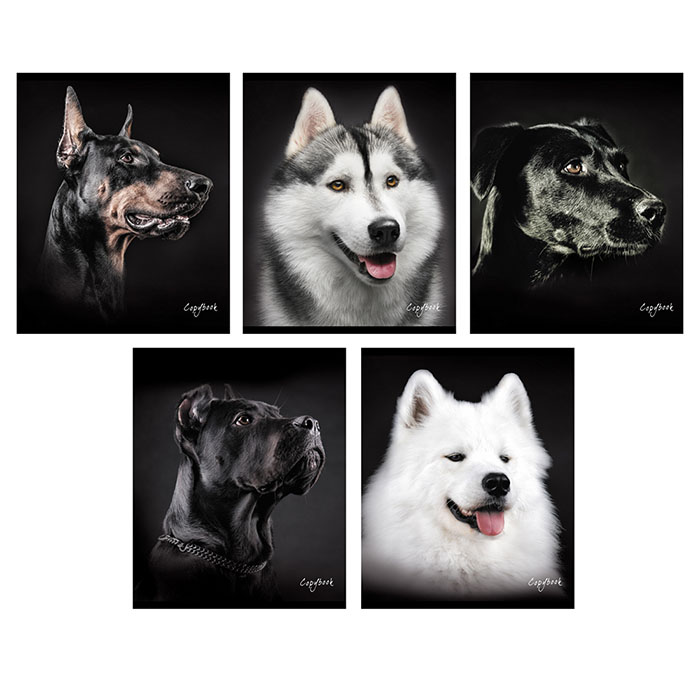 Тетрадь 96 л Собаки (портреты) 5 видов