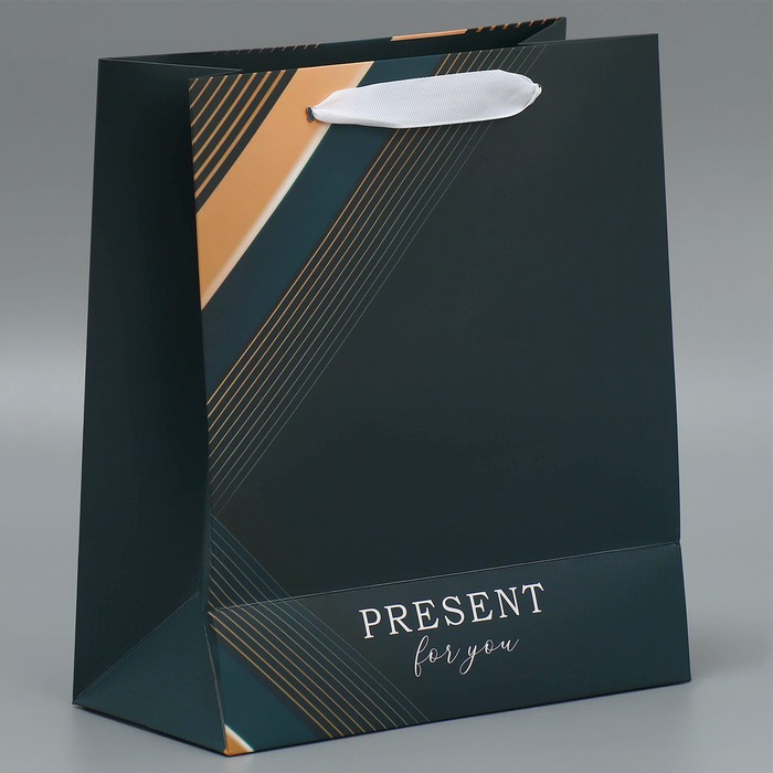 Пакет подарочный 23 х 27х 11,5 "Present for you"