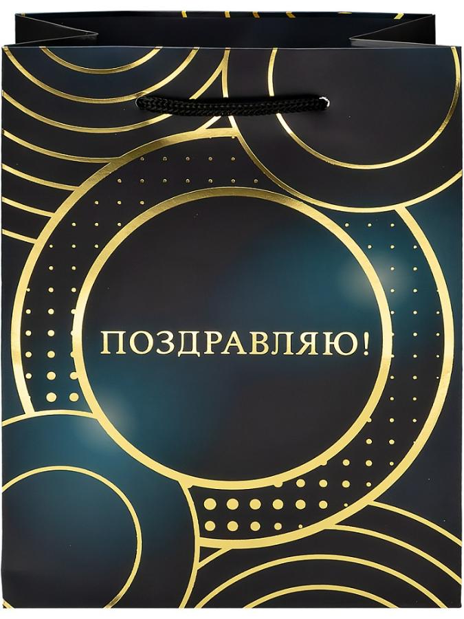 Пакет подарочный 18х23х10 см "Круги"