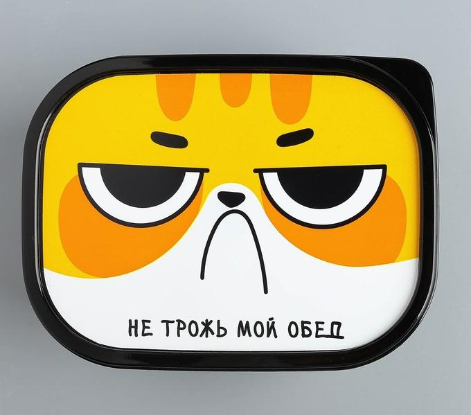 Ланч-бокс 500 мл "Не трожь мой обед" 