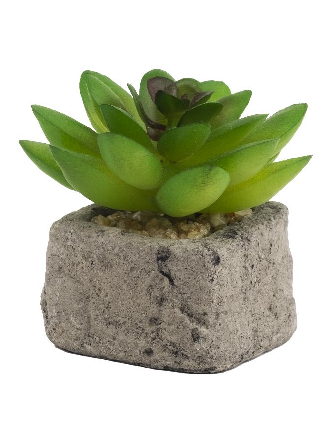 Декоративное искусственное растение Зеленый Суккулент из полиэтилена в кашпо из бетона, 8*5,5*5,5см