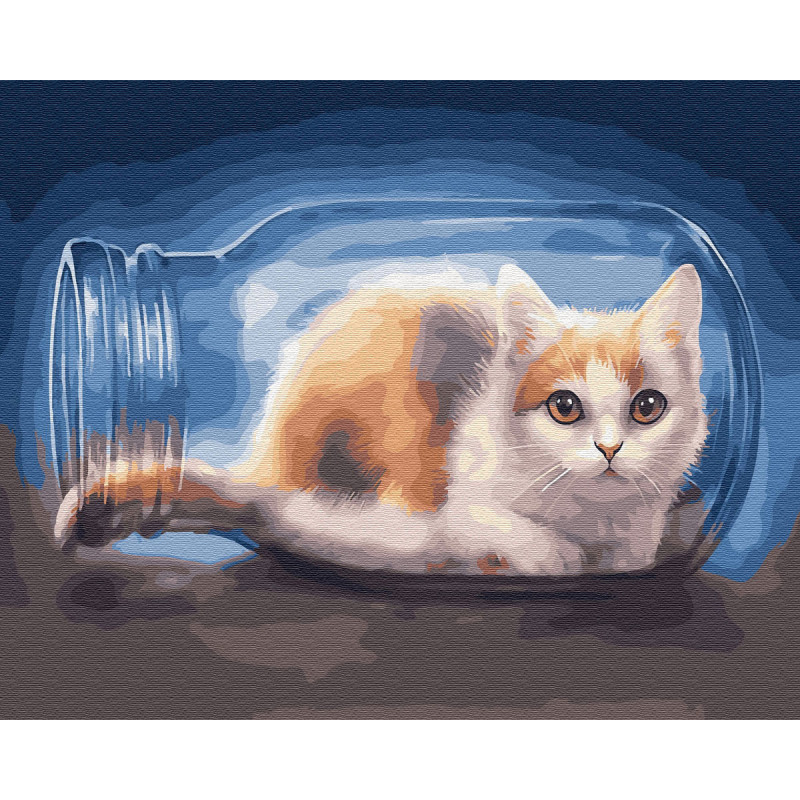 Картина по номерам "Кот в банке", 40х50 см
