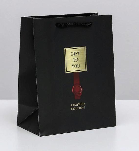 Пакет подарочный 18×23×10 см «Gift to you», ламинированный, вертикальный 