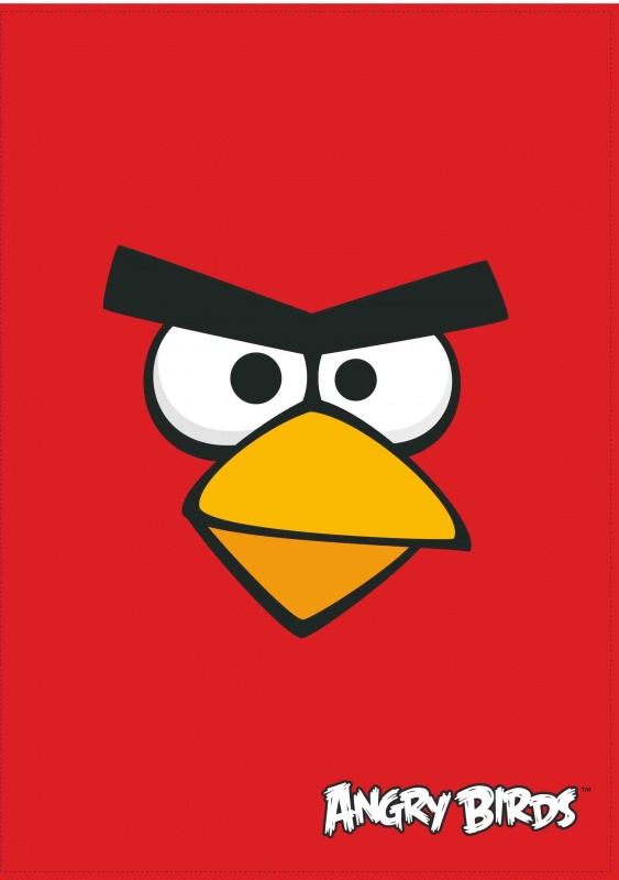 Папка-уголок А4 "Angry Birds", 180 мкм
